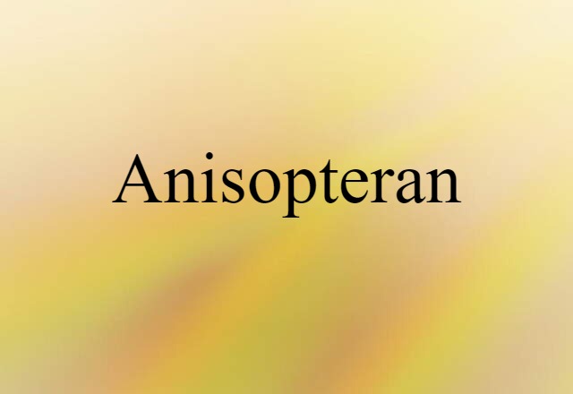 Anisopteran (noun) Definition, Meaning & Examples