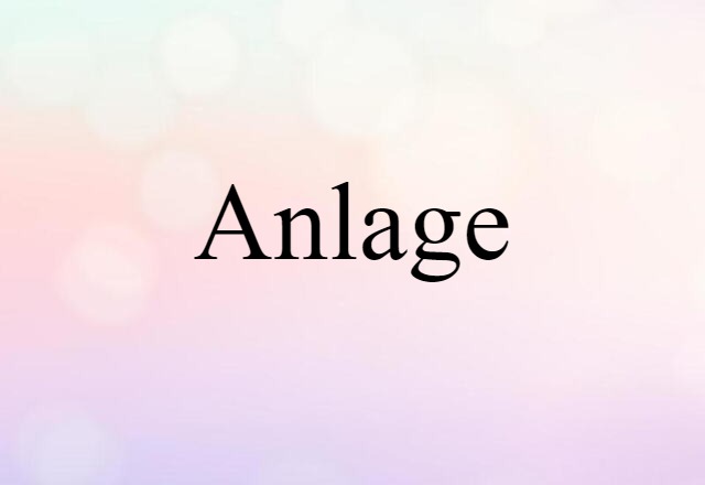 Anlage (noun) Definition, Meaning & Examples