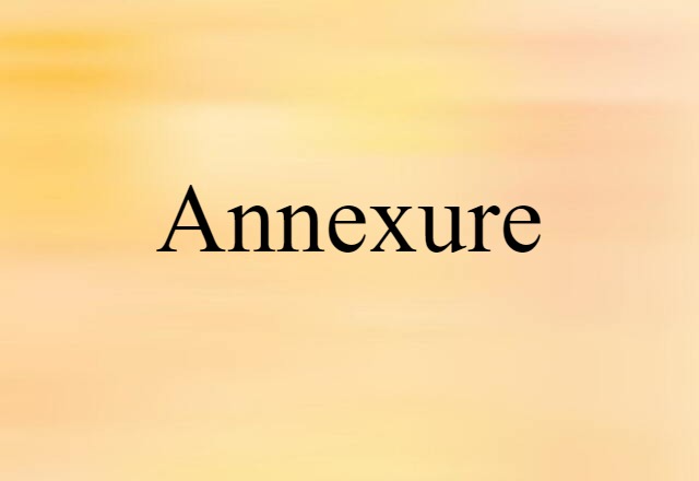 Annexure (noun) Definition, Meaning & Examples