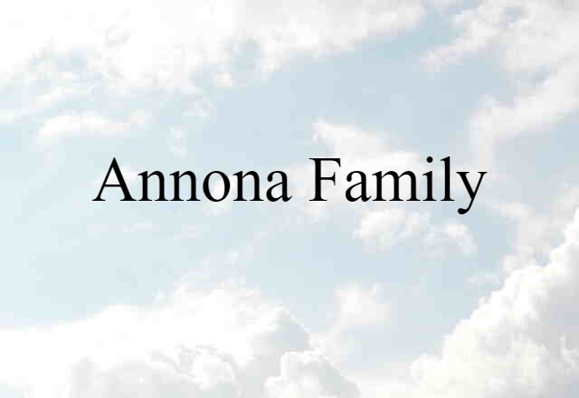 annona family