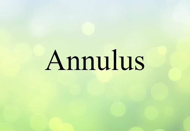 annulus