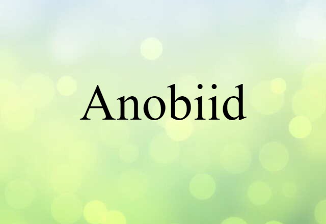 anobiid