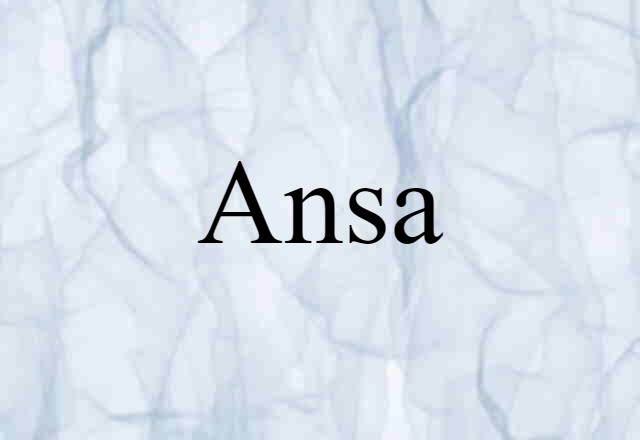 Ansa (noun) Definition, Meaning & Examples