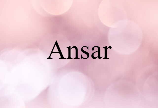 Ansar (noun) Definition, Meaning & Examples