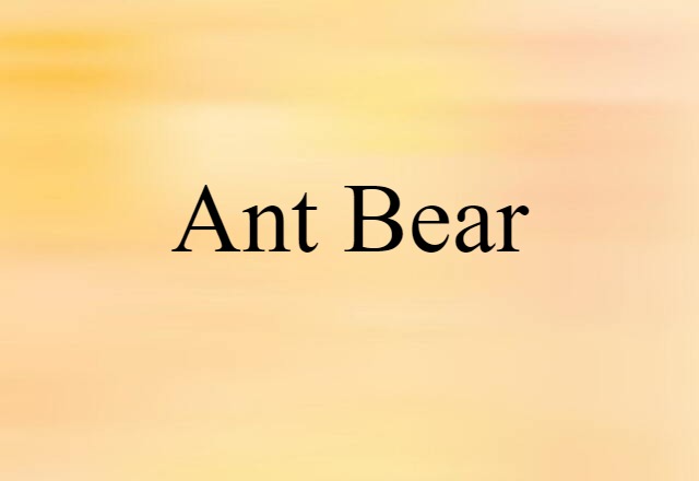 ant bear