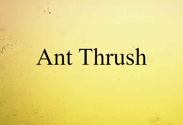 Ant-thrush (noun) Definition, Meaning & Examples