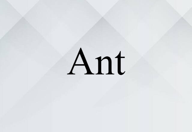 ant