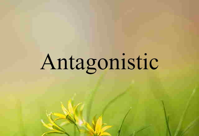 Antagonistic (noun) Definition, Meaning & Examples