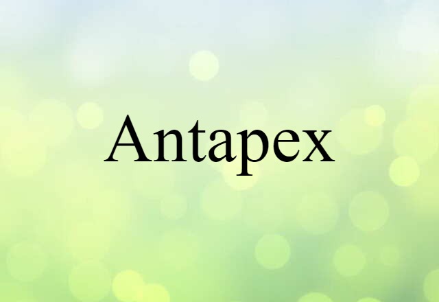 antapex