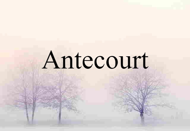 Antecourt (noun) Definition, Meaning & Examples