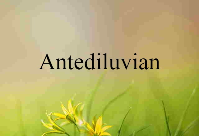 Antediluvian (noun) Definition, Meaning & Examples