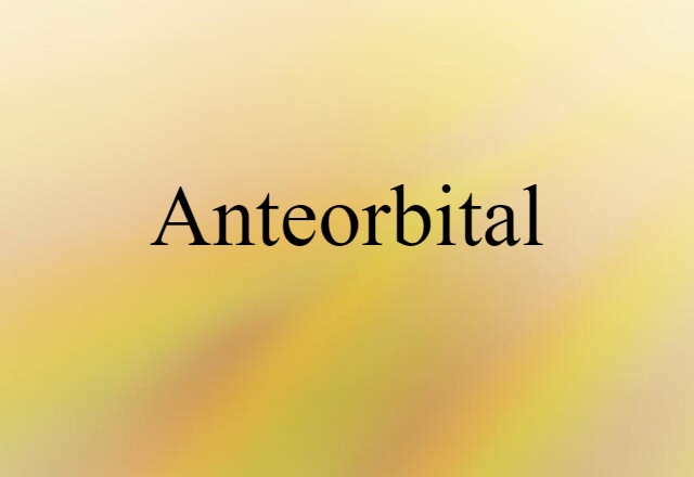 anteorbital