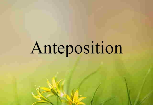 anteposition