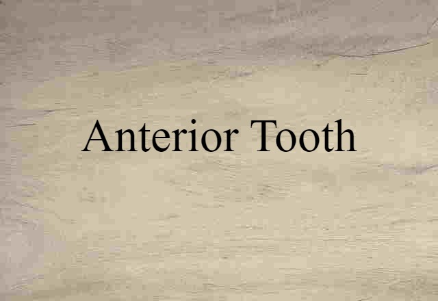 anterior tooth