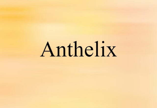 Anthelix (noun) Definition, Meaning & Examples