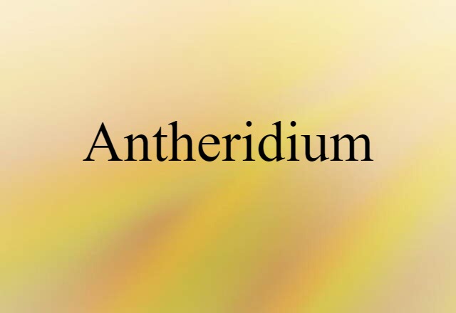 antheridium