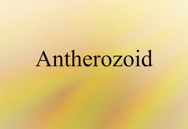 Antherozoid (noun) Definition, Meaning & Examples