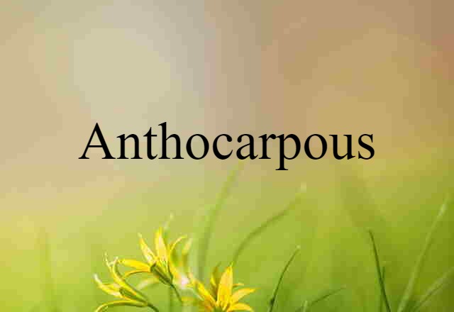 anthocarpous