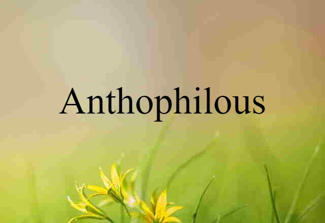 Anthophilous (noun) Definition, Meaning & Examples