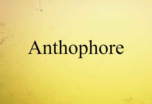 anthophore