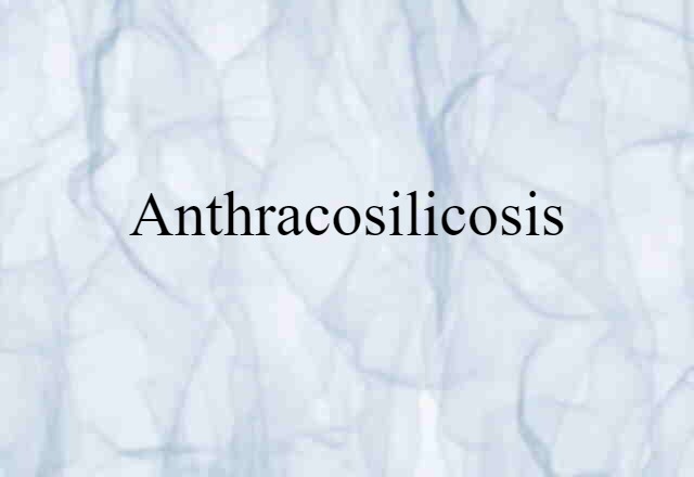 Anthracosilicosis (noun) Definition, Meaning & Examples