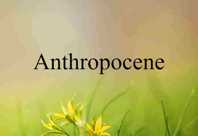 Anthropocene