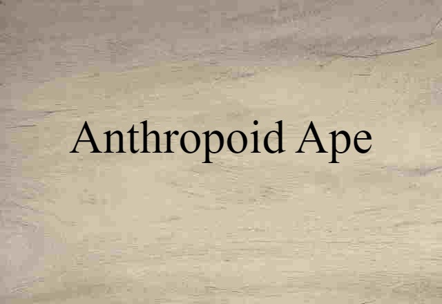 anthropoid ape