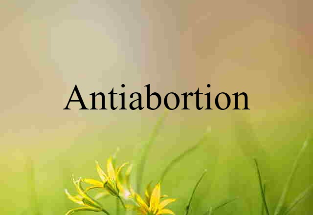 Antiabortion (noun) Definition, Meaning & Examples