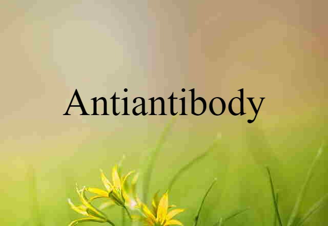 Antiantibody (noun) Definition, Meaning & Examples