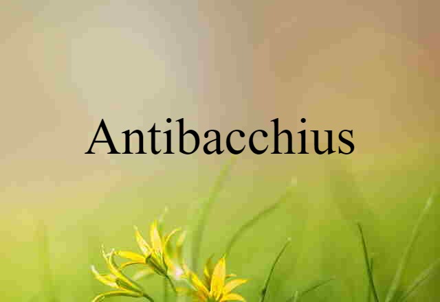 antibacchius