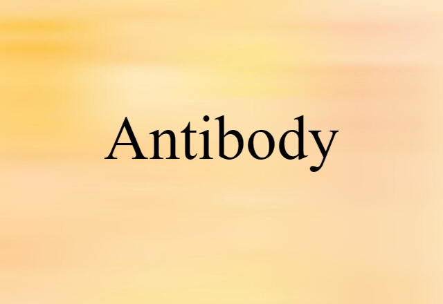 antibody