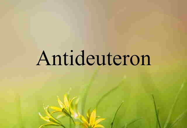 Antideuteron (noun) Definition, Meaning & Examples