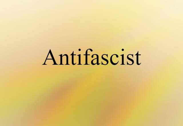 Antifascist (noun) Definition, Meaning & Examples