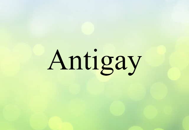 Antigay (noun) Definition, Meaning & Examples