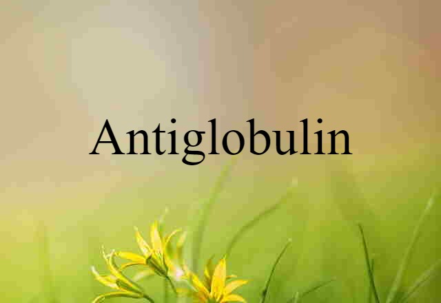 antiglobulin