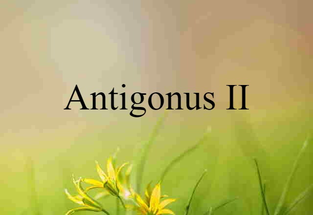 Antigonus II