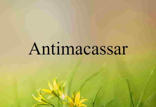 Antimacassar (noun) Definition, Meaning & Examples