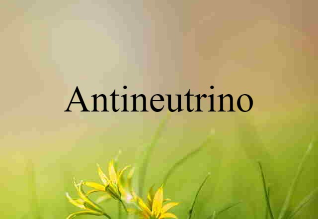 antineutrino