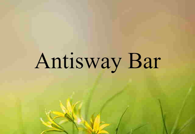 antisway bar