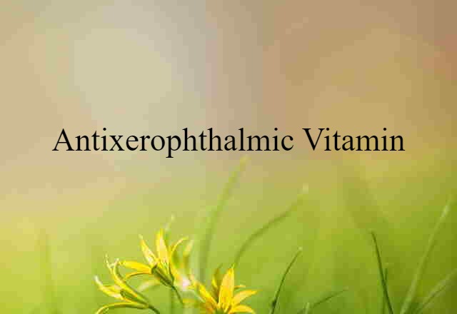 antixerophthalmic vitamin