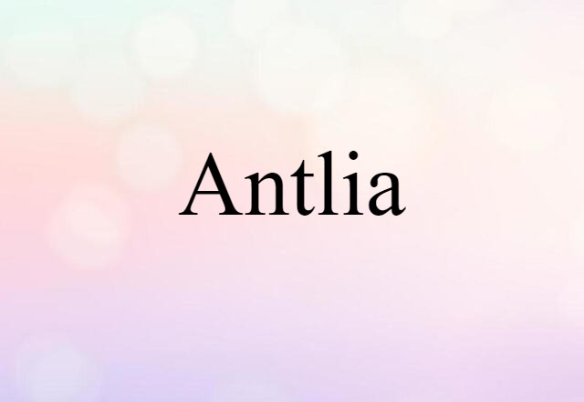 Antlia (noun) Definition, Meaning & Examples