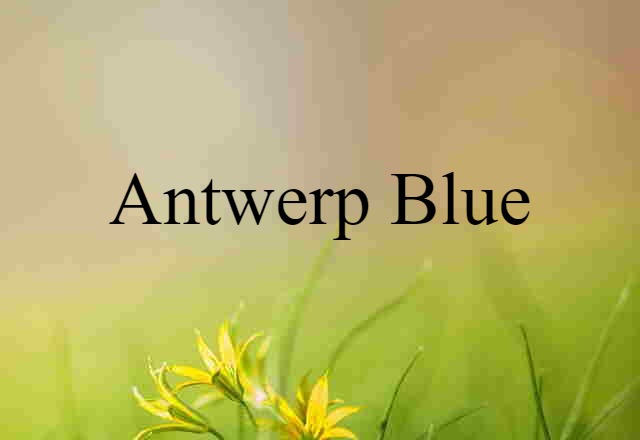 Antwerp blue