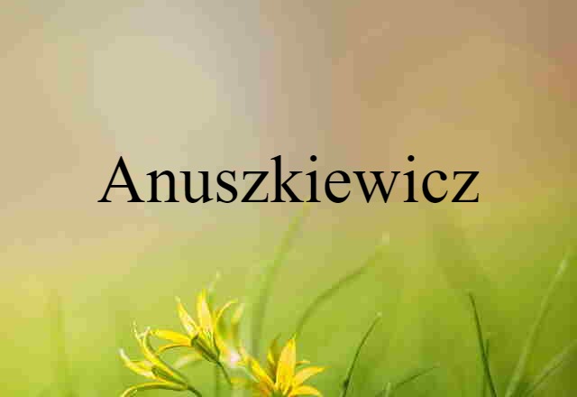 Anuszkiewicz