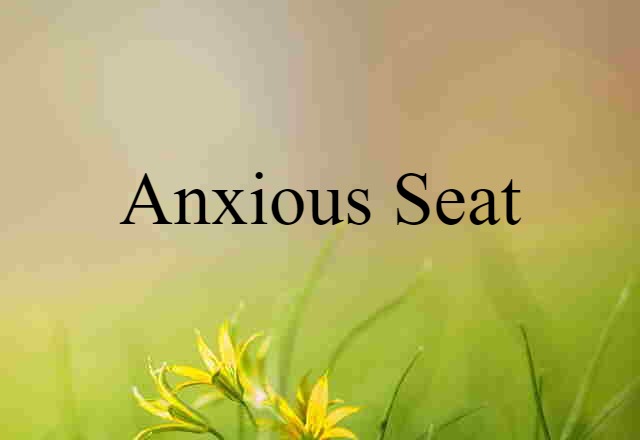 Anxious Seat (noun) Definition, Meaning & Examples