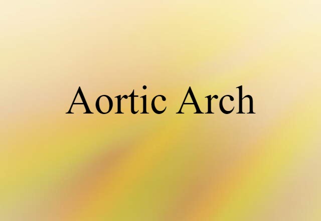 Aortic Arch (noun) Definition, Meaning & Examples