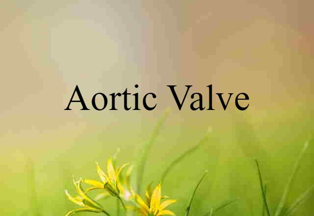 aortic valve