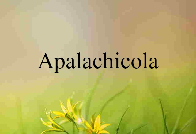 Apalachicola (noun) Definition, Meaning & Examples