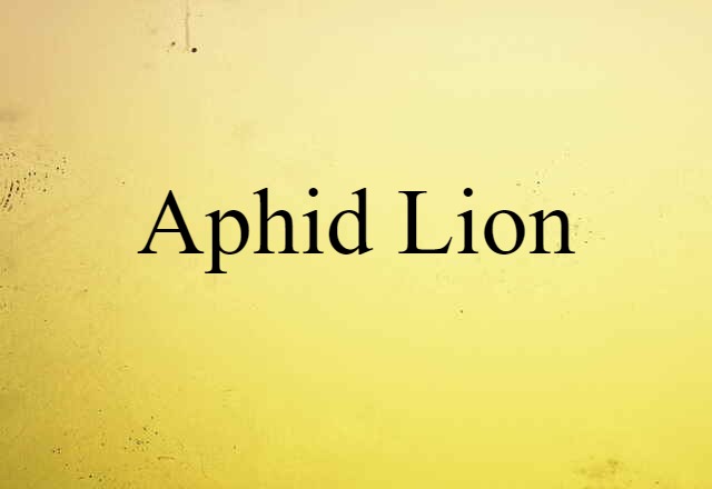 aphid lion