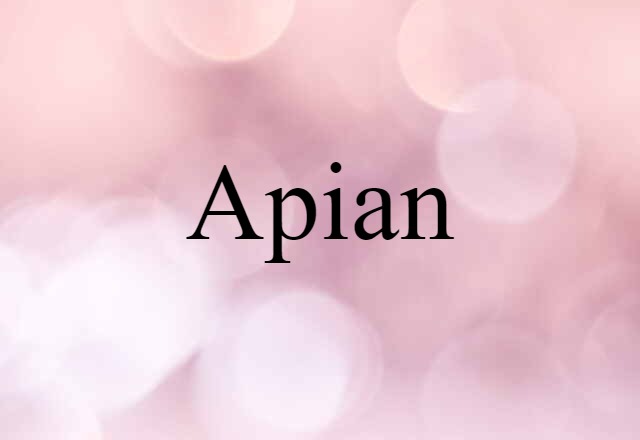 Apian (noun) Definition, Meaning & Examples