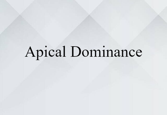 Apical Dominance (noun) Definition, Meaning & Examples